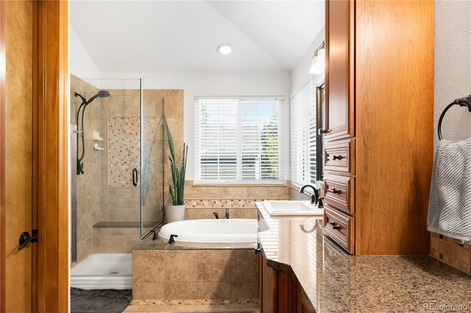10269 Lodestone Way Parker CO 80134