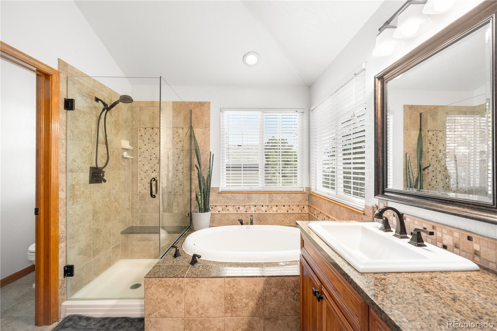 10269 Lodestone Way Parker CO 80134