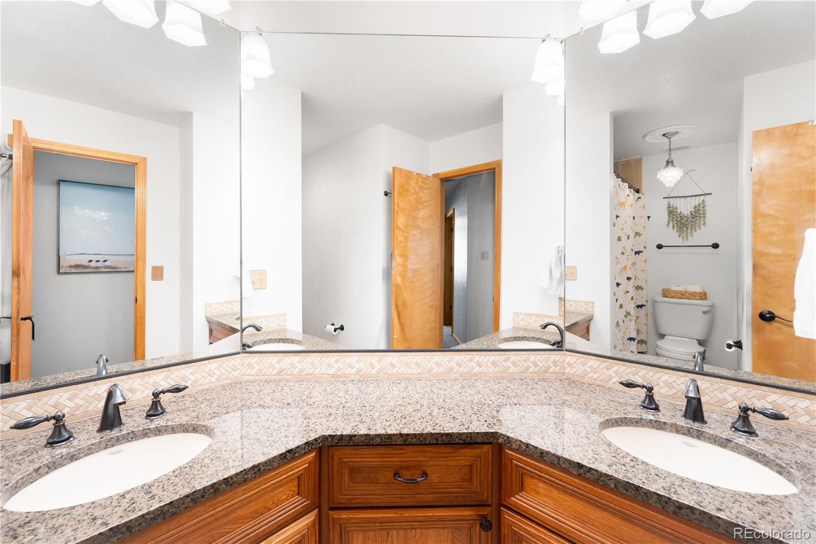 10269 Lodestone Way Parker CO 80134