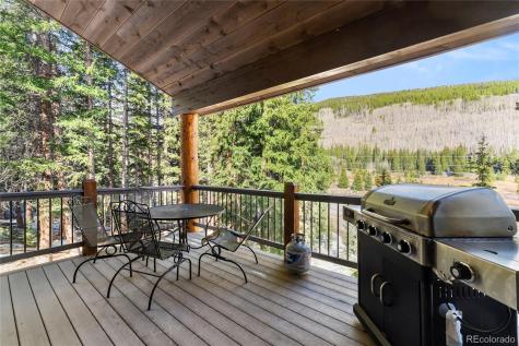 50 Cooney Court Blue River CO 80424