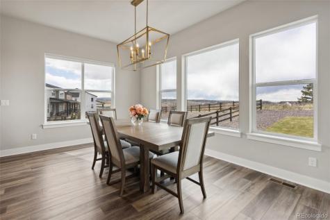 863 Edenborn Place Castle Rock CO 80104