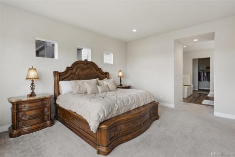 863 Edenborn Place Castle Rock CO 80104