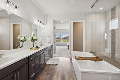 863 Edenborn Place Castle Rock CO 80104