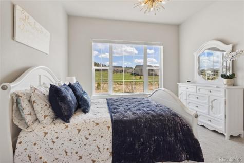 863 Edenborn Place Castle Rock CO 80104