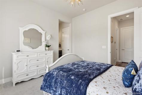 863 Edenborn Place Castle Rock CO 80104