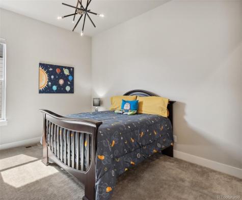 863 Edenborn Place Castle Rock CO 80104