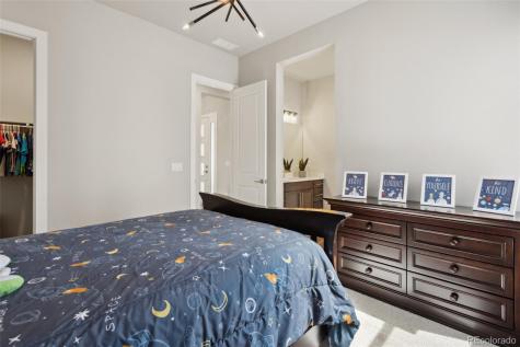 863 Edenborn Place Castle Rock CO 80104