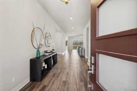 863 Edenborn Place Castle Rock CO 80104