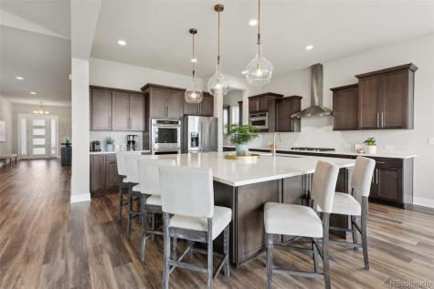 863 Edenborn Place Castle Rock CO 80104