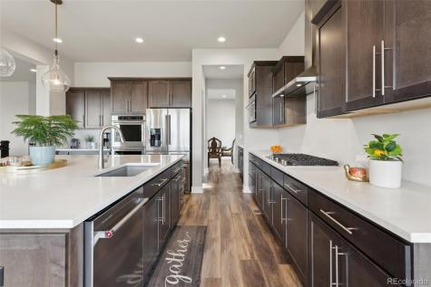 863 Edenborn Place Castle Rock CO 80104