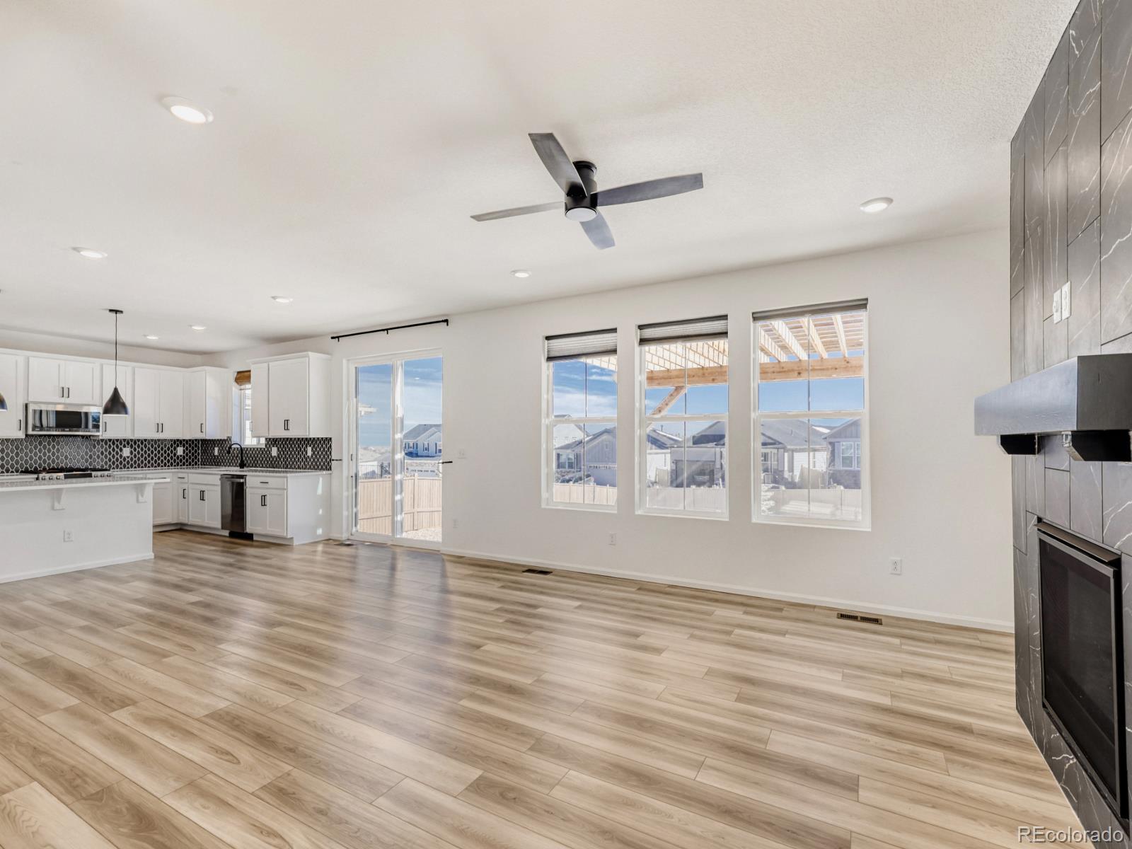 2039 Peachleaf Loop Castle Rock CO 80108
