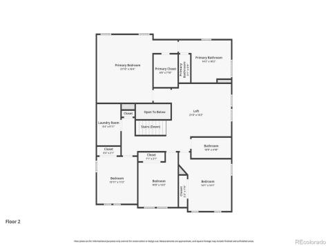 2039 Peachleaf Loop Castle Rock CO 80108