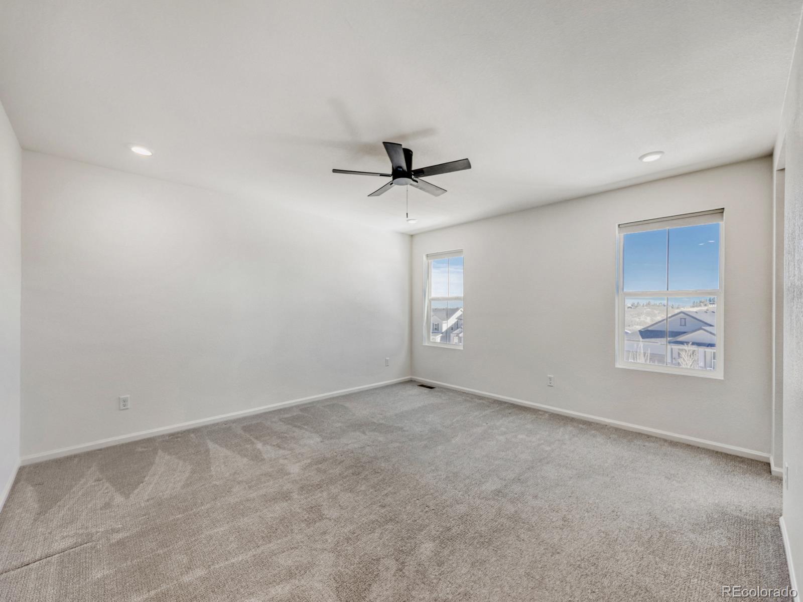 2039 Peachleaf Loop Castle Rock CO 80108