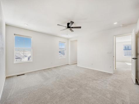 2039 Peachleaf Loop Castle Rock CO 80108