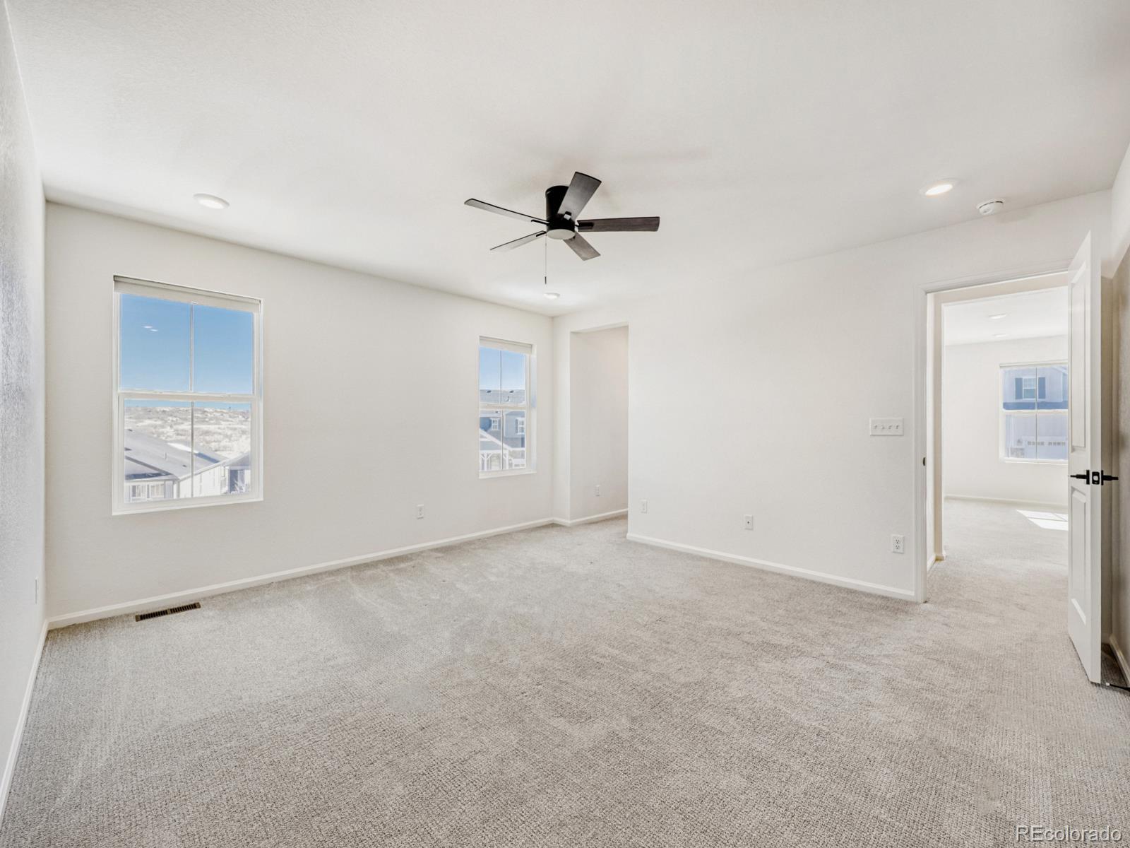2039 Peachleaf Loop Castle Rock CO 80108