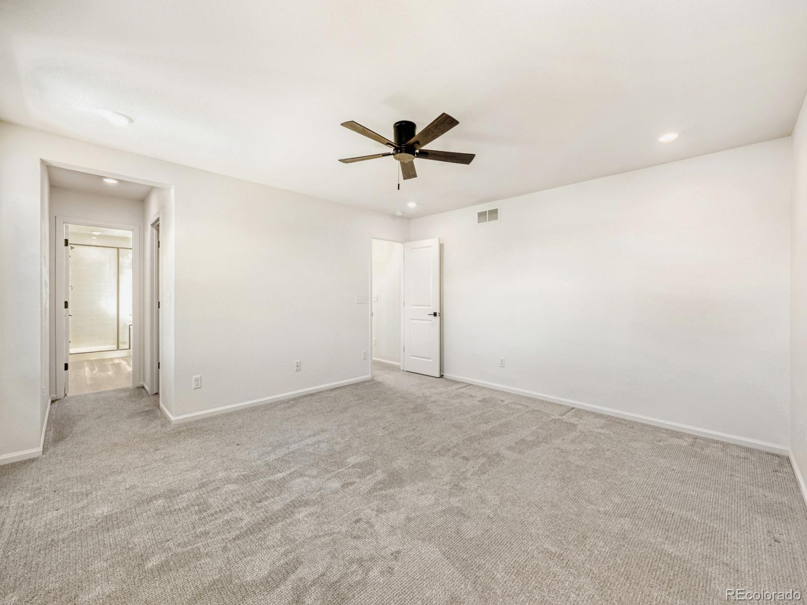 2039 Peachleaf Loop Castle Rock CO 80108