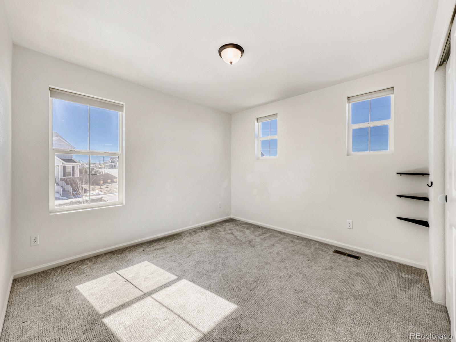 2039 Peachleaf Loop Castle Rock CO 80108