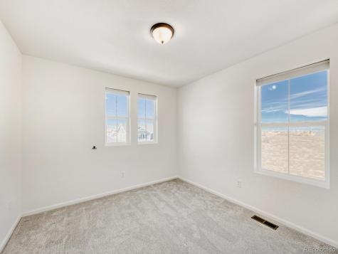 2039 Peachleaf Loop Castle Rock CO 80108