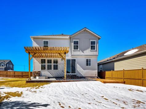 2039 Peachleaf Loop Castle Rock CO 80108
