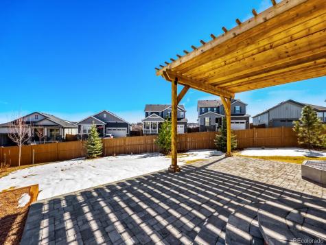 2039 Peachleaf Loop Castle Rock CO 80108