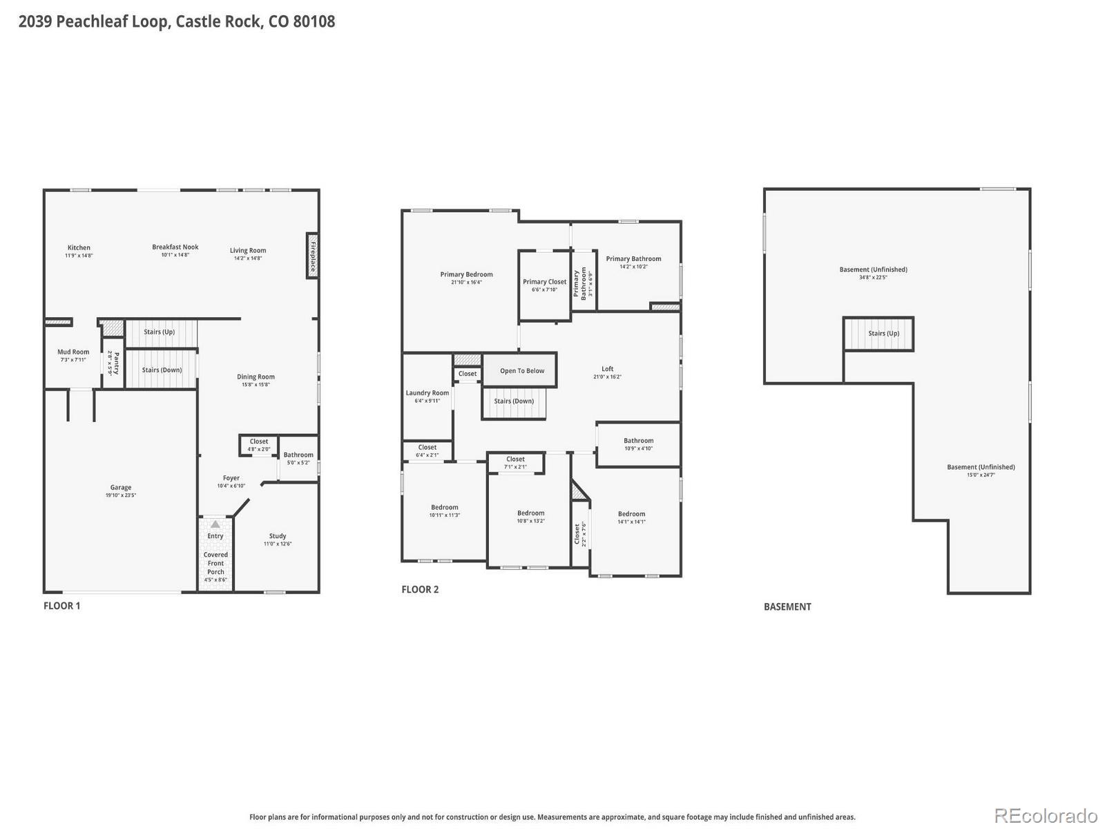 2039 Peachleaf Loop Castle Rock CO 80108