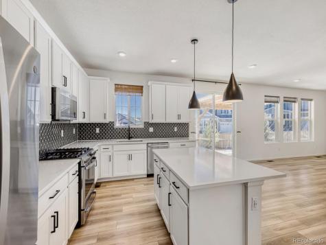 2039 Peachleaf Loop Castle Rock CO 80108