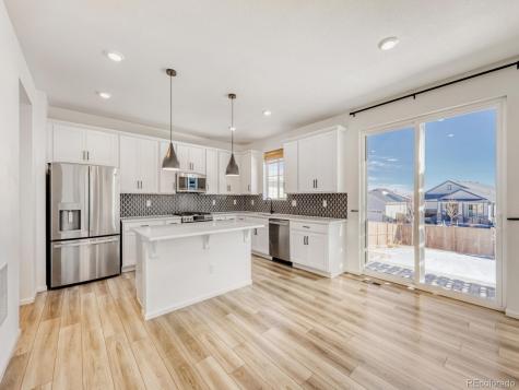 2039 Peachleaf Loop Castle Rock CO 80108