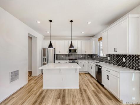 2039 Peachleaf Loop Castle Rock CO 80108