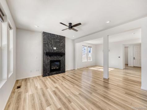 2039 Peachleaf Loop Castle Rock CO 80108