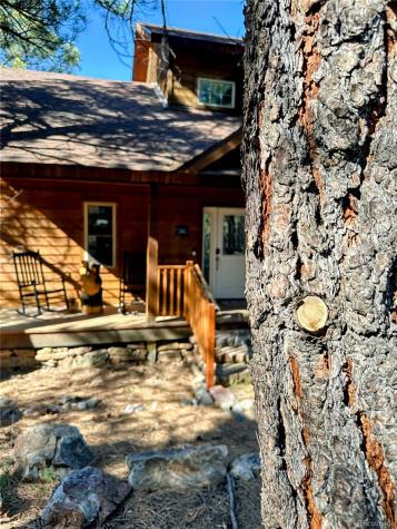 62 Masters Circle Pagosa Springs CO 81147