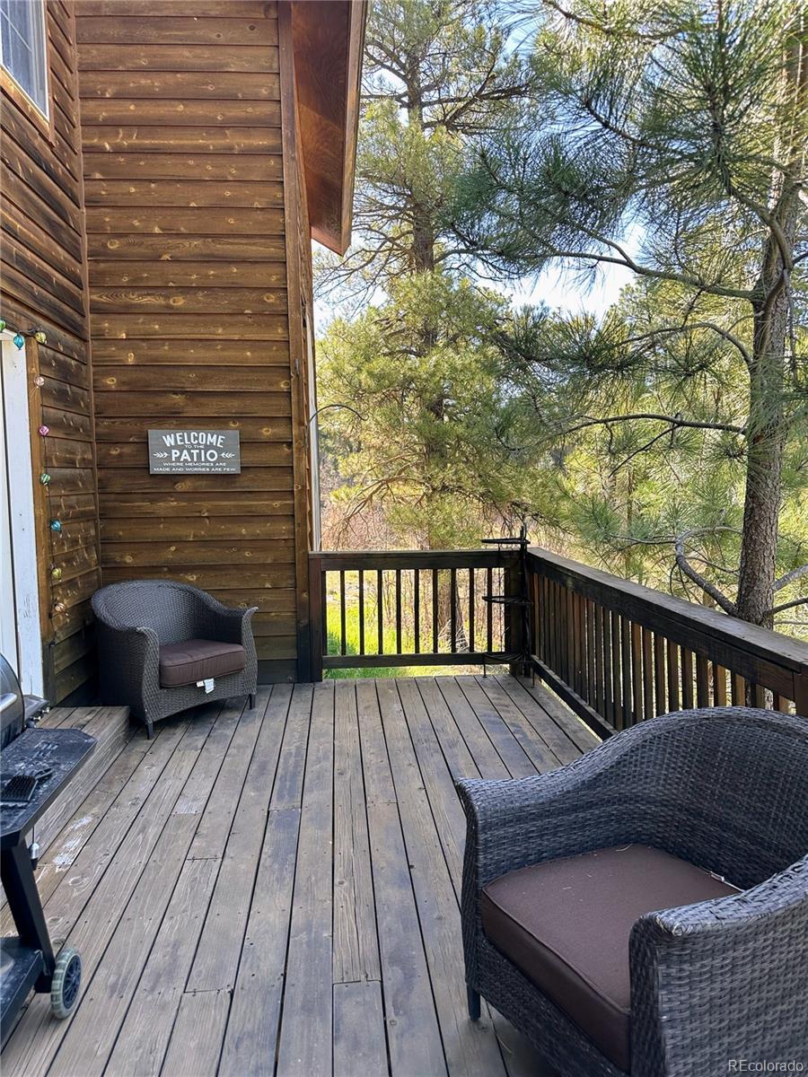 62 Masters Circle Pagosa Springs CO 81147