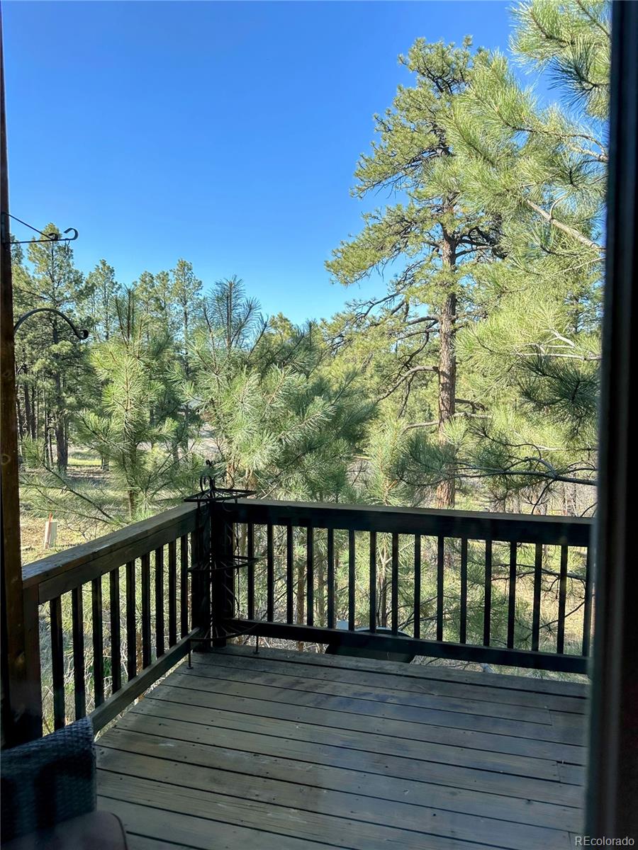 62 Masters Circle Pagosa Springs CO 81147