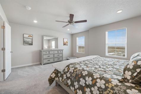 5105 Beartrack Point Colorado Springs CO 80925