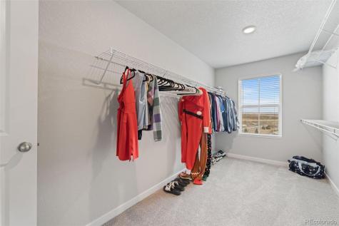 5105 Beartrack Point Colorado Springs CO 80925