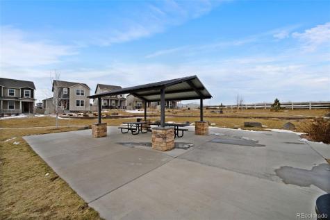 5105 Beartrack Point Colorado Springs CO 80925