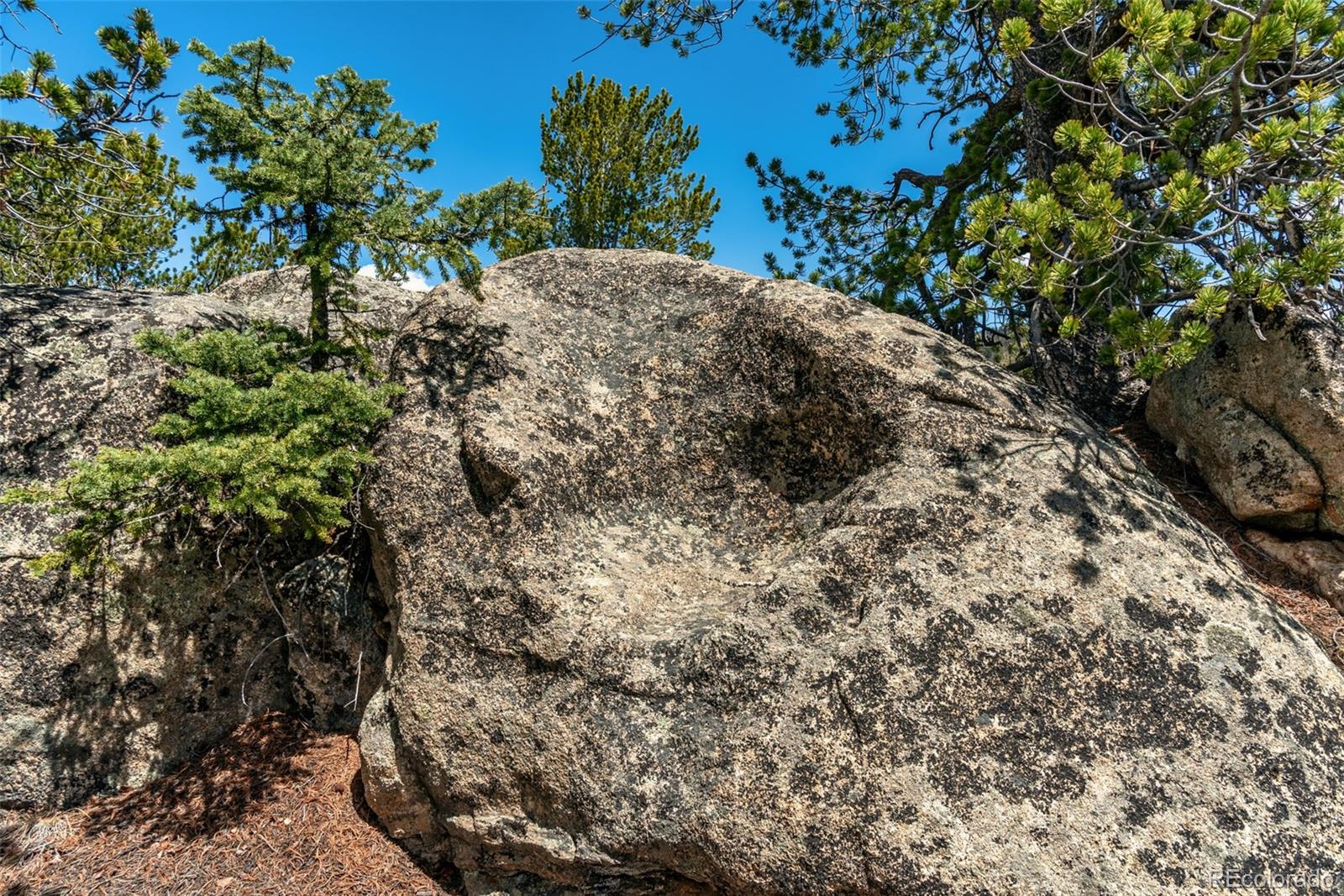 360 Musket Lane Como CO 80432