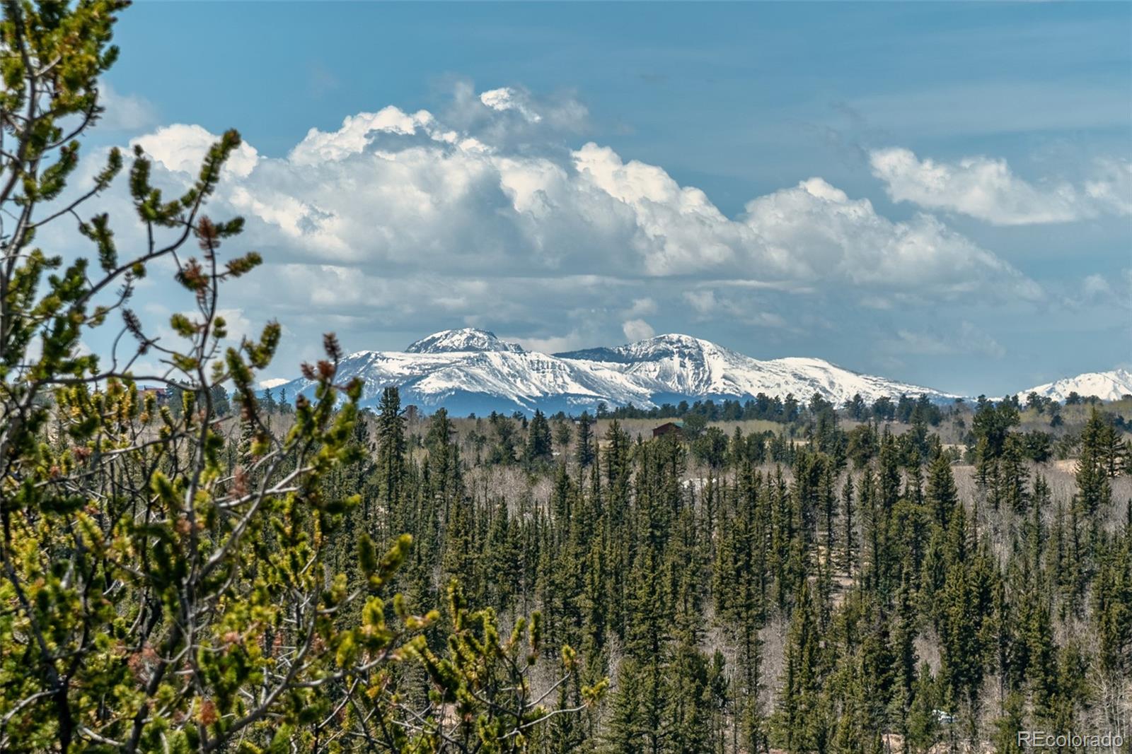 360 Musket Lane Como CO 80432