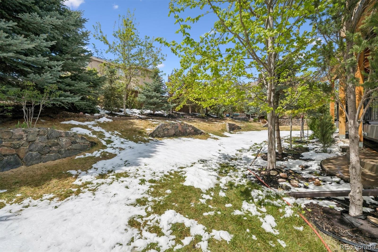 10137 Charissglen Lane Highlands Ranch CO 80126