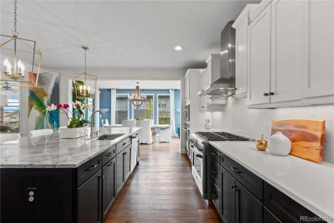 10872 Greycliffe Way Highlands Ranch CO 80126