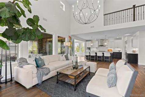 10872 Greycliffe Way Highlands Ranch CO 80126
