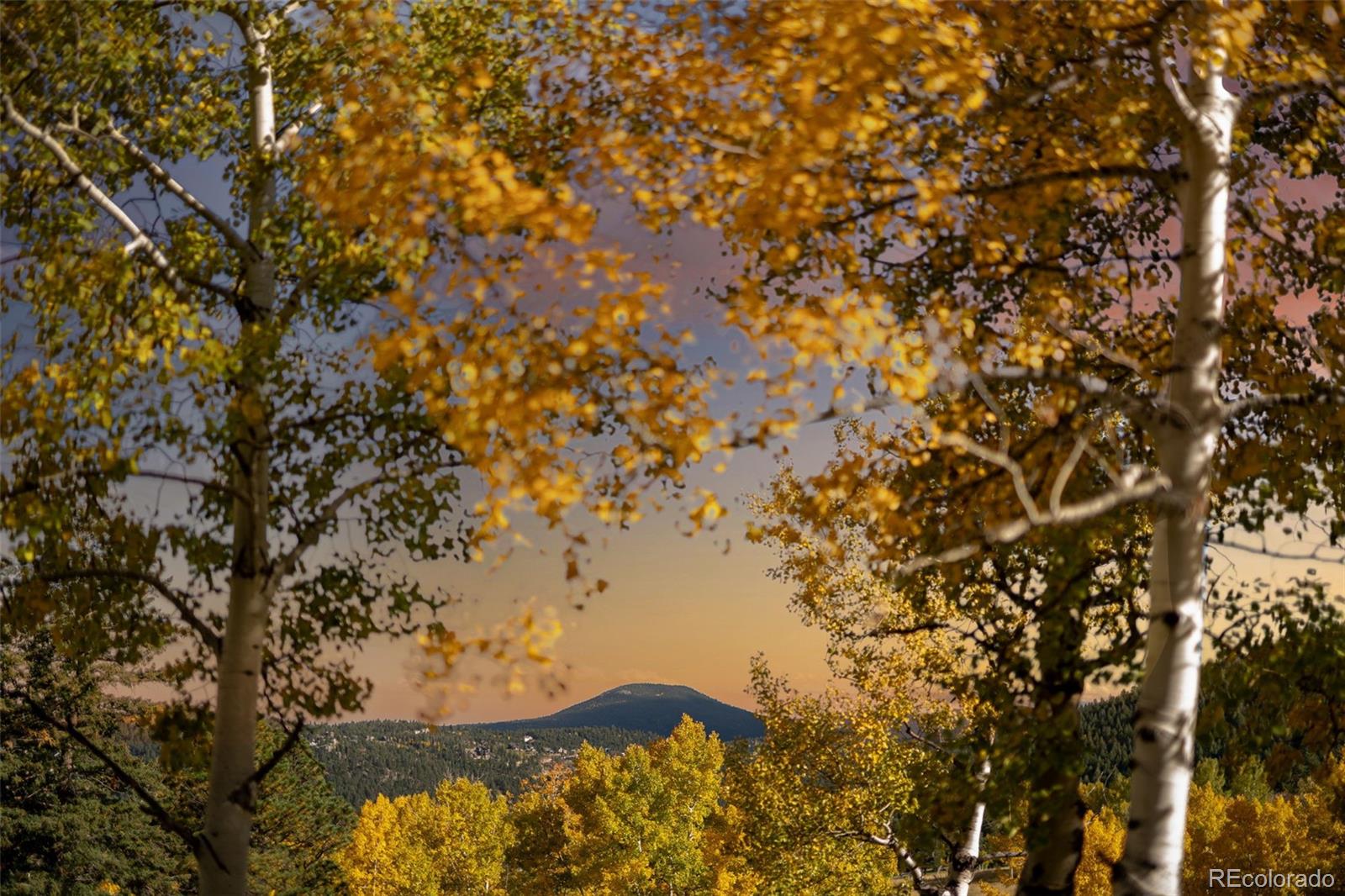 31753 Miwok Trail Evergreen CO 80439