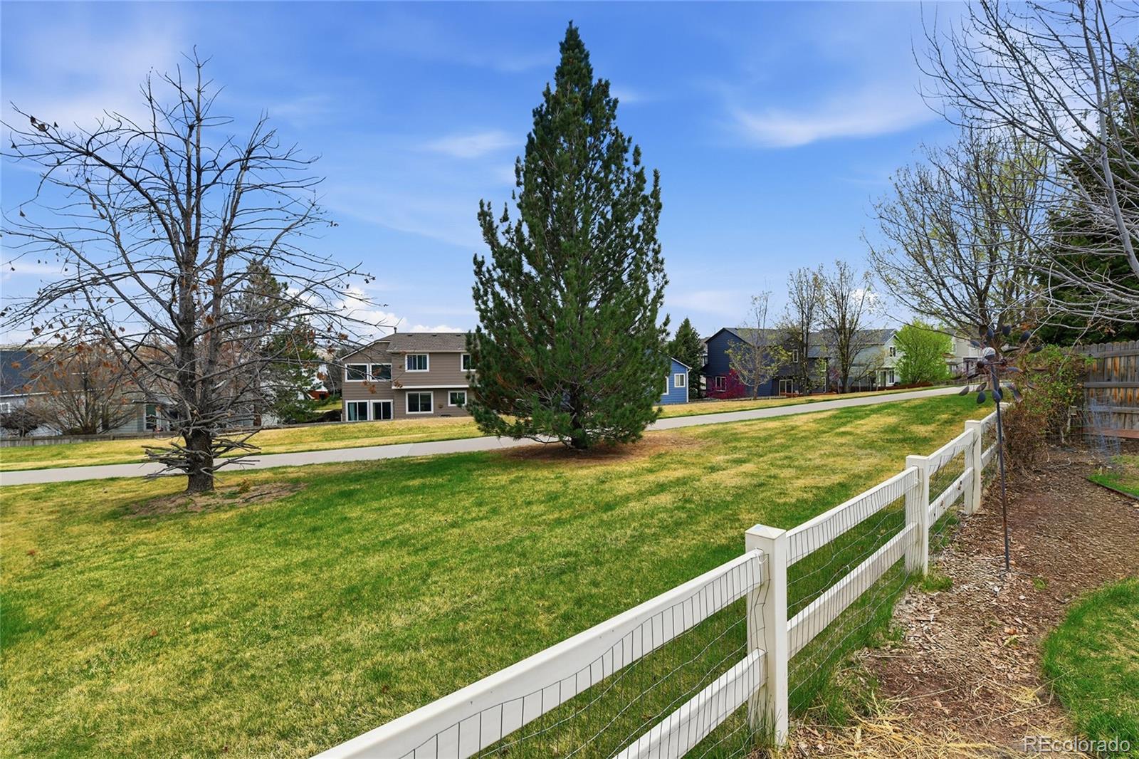 8428 Blackgum Street Parker CO 80134