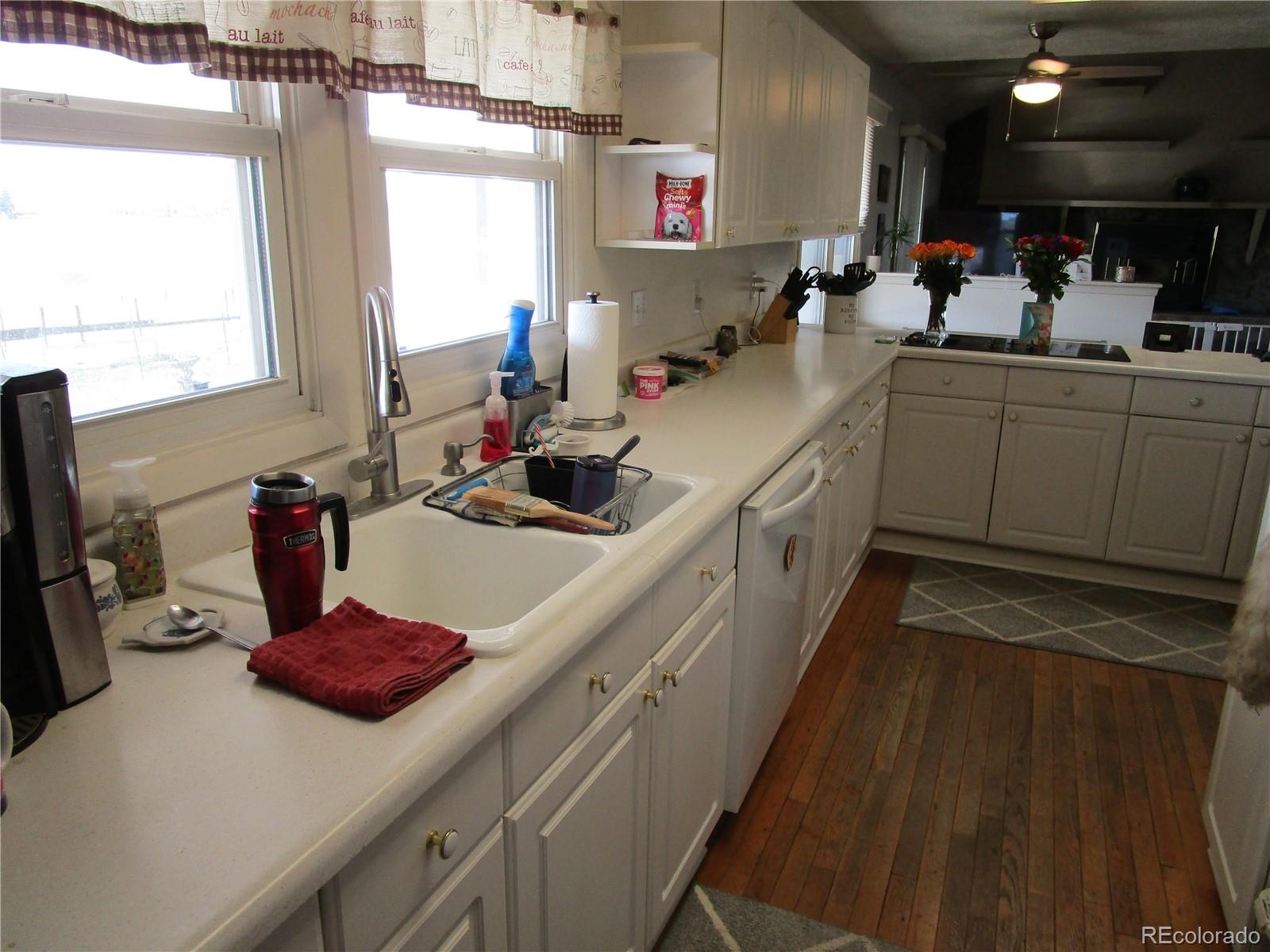 1563 Lisbon Drive Parker CO 80138