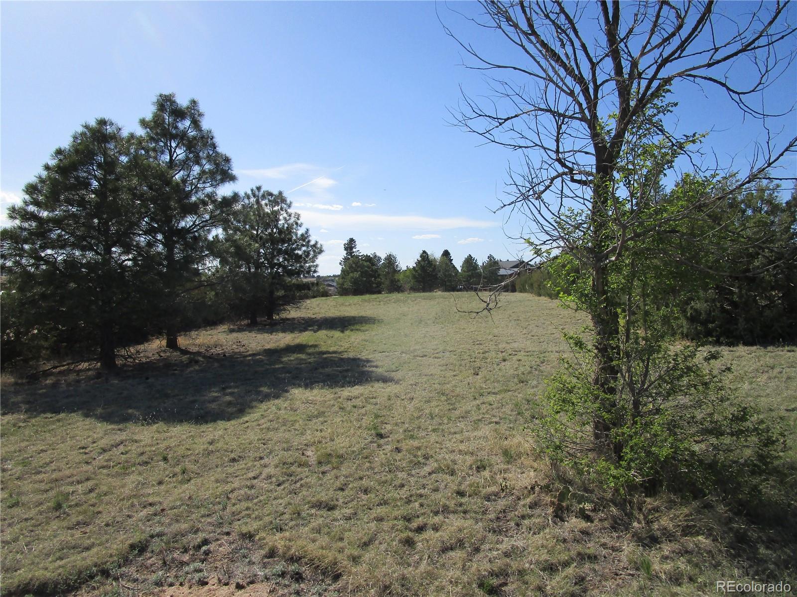 1563 Lisbon Drive Parker CO 80138