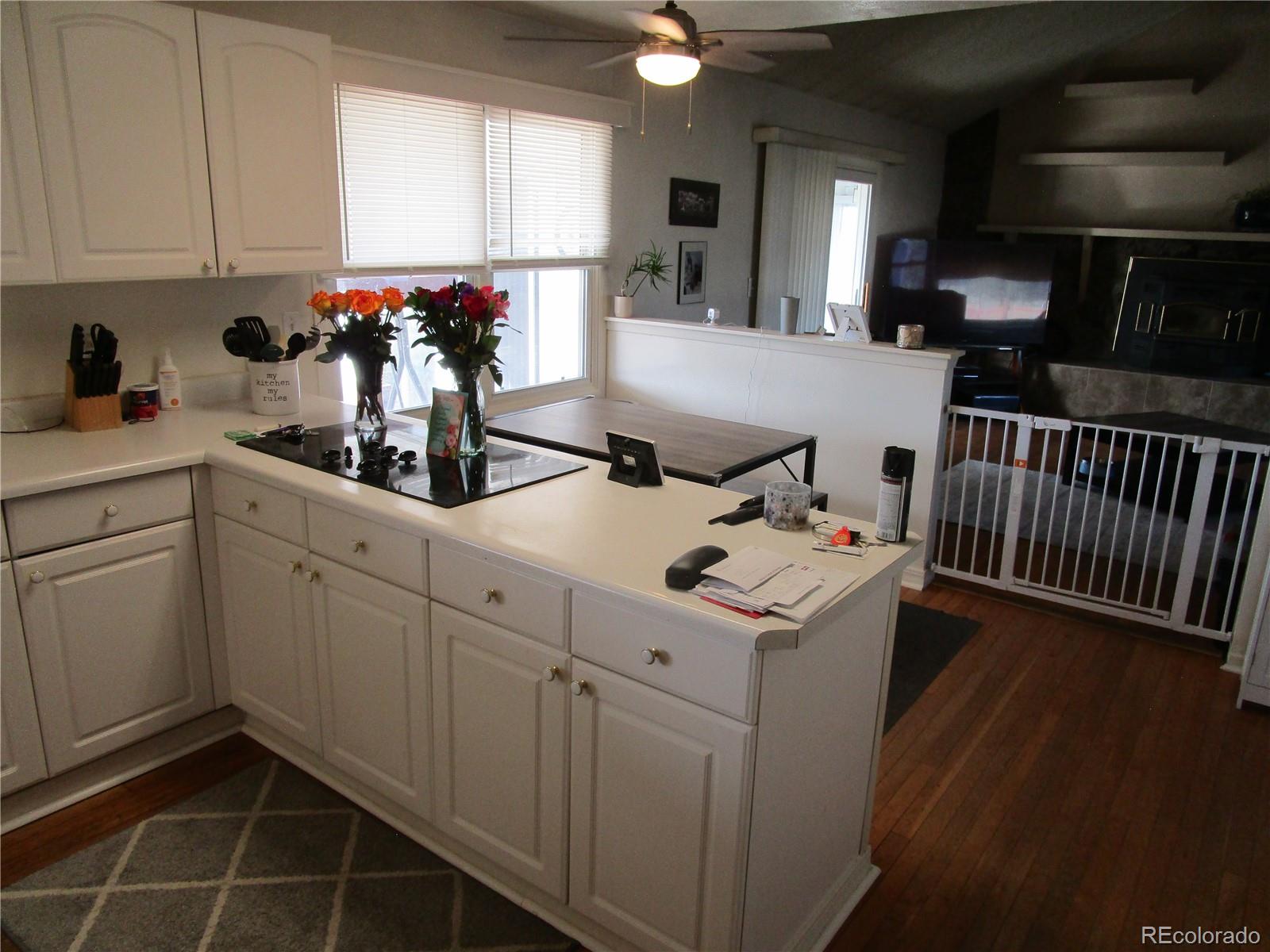 1563 Lisbon Drive Parker CO 80138