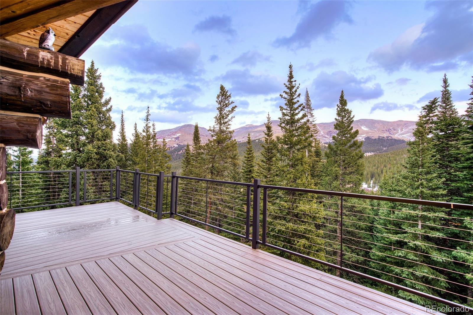 324 Carroll Lane Breckenridge CO 80424