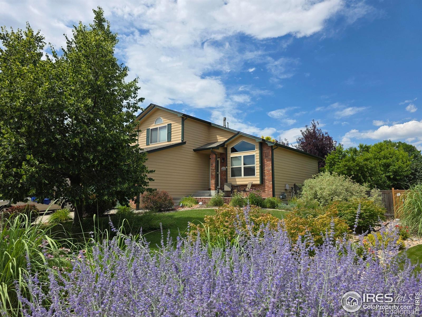 2129 72nd Avenue Court Greeley CO 80634
