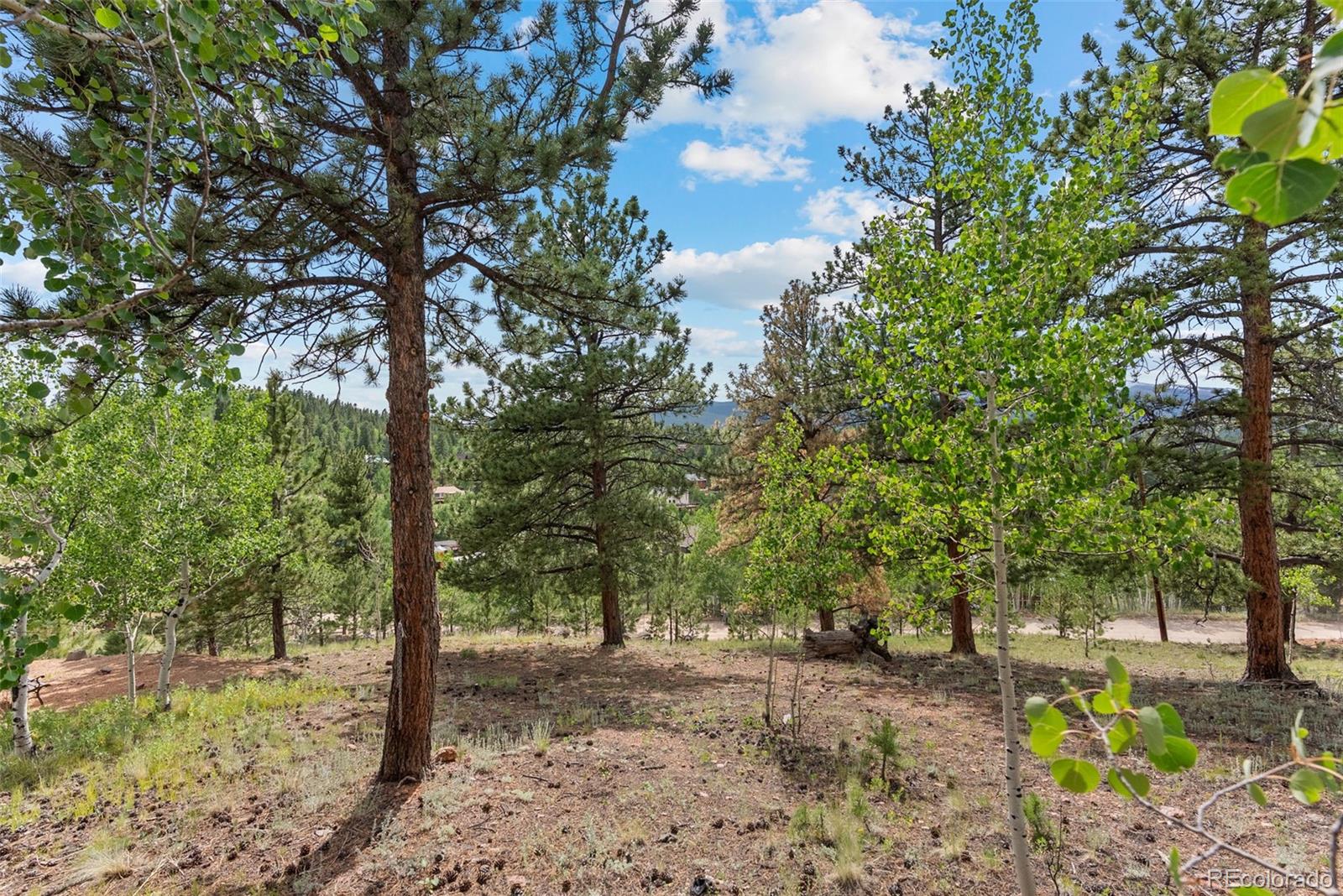 62 Quartz Circle Bailey CO 80421
