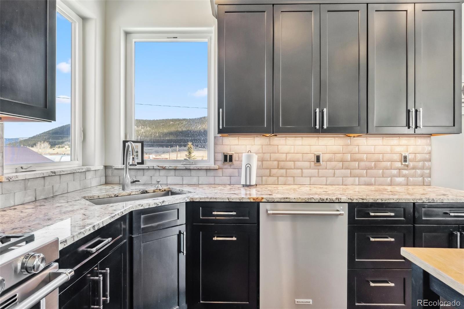 255 Flannigan Circle Alma CO 80420