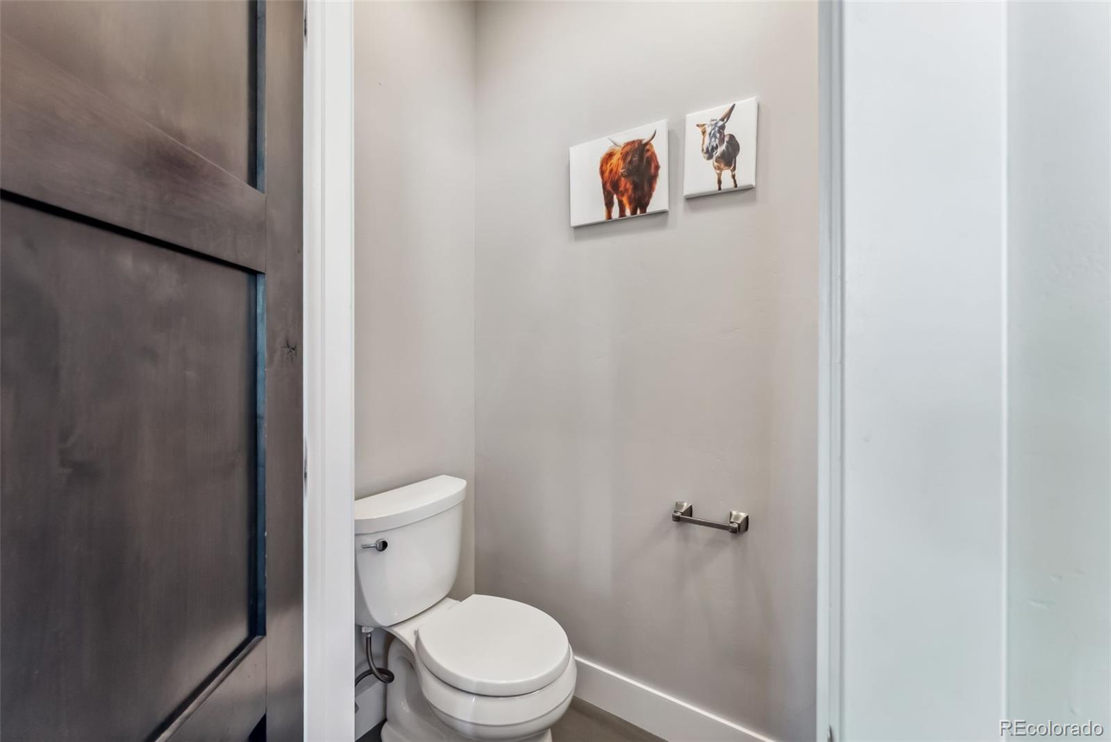 255 Flannigan Circle Alma CO 80420